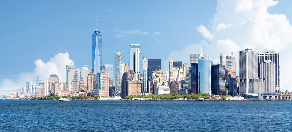 LF_Mass-Torts_New York City skyline